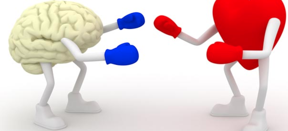 Мозг и сердце. Ум и сердце. Сердце или разум. Разум или чувства.